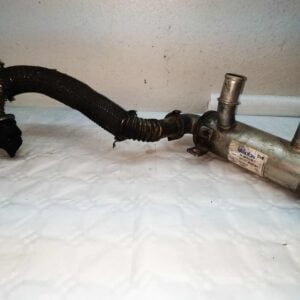 Enfriador EGR Citröen C4, Berlingo Peugeot 307 (S1)