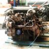 Motor completo Citroën Xsara 1.9TD 95CV Diésel 1999