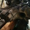 Caja de cambios Nissan Micra K11 gasolina 1.0 I 16V 54CV 1999