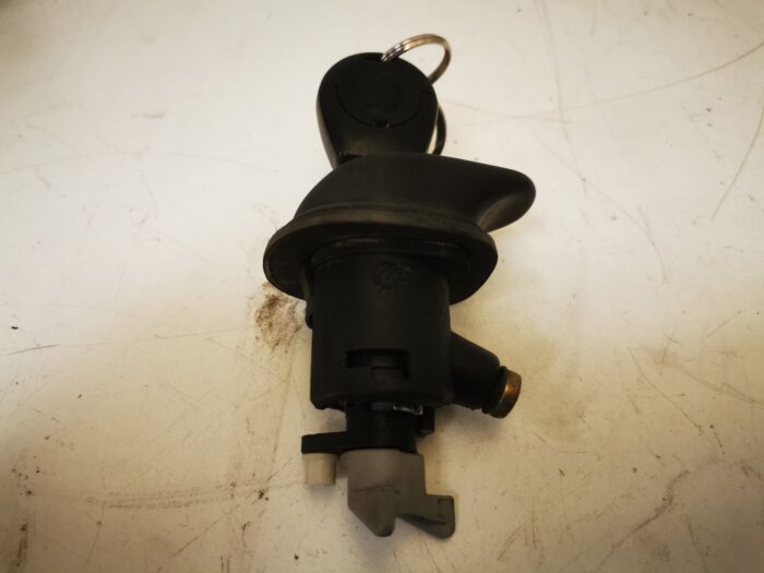 Cerradura portón trasero Seat Ibiza II 6K