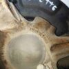 Mangueta con pinza y disco freno dch Nissan Vanette