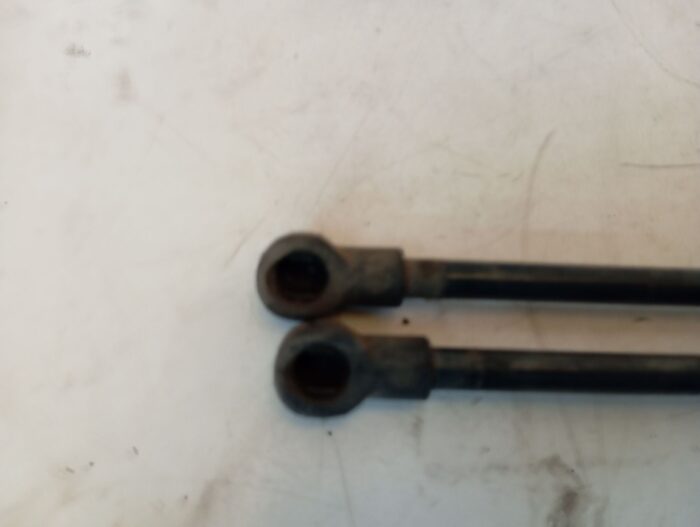 Amortiguadores Porton maletero Peugeot 206 2002