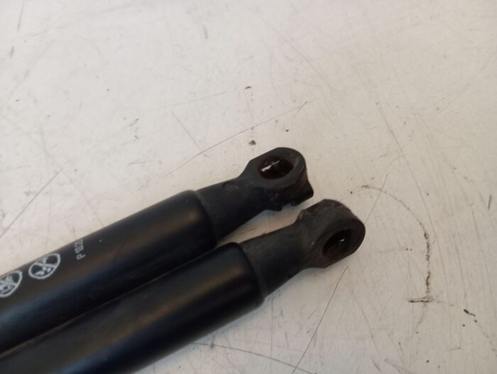 Amortiguadores Porton maletero Peugeot 206 2002