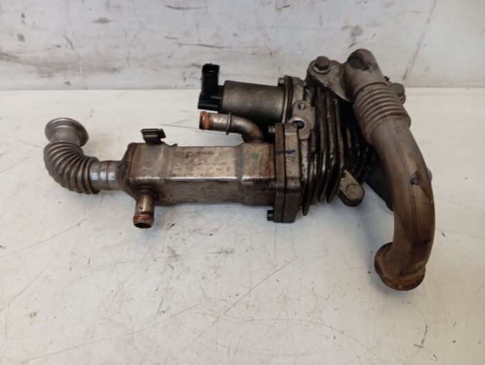 Radiador EGR Renault Megane II Scenic II 2002