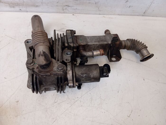 Radiador EGR Renault Megane II Scenic II 2002