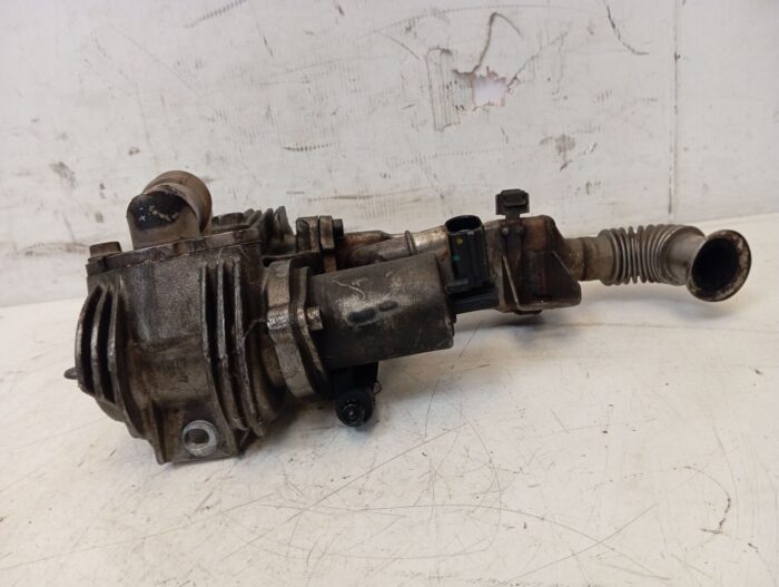Radiador EGR Renault Megane II Scenic II 2002