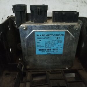 Modulo Electronico Citroen C2 1.6 VTS gasolina 2006