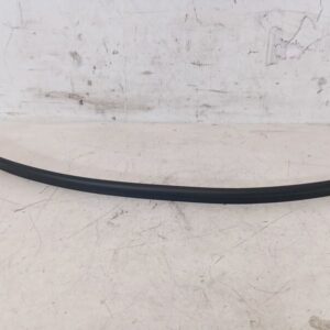 Junta lamelunas delantera izquierda Volkswagen Golf IV 2001