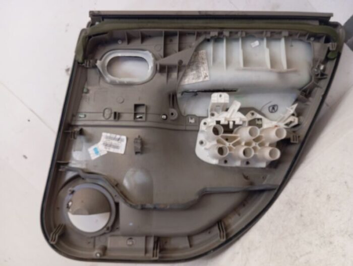 Panel de puerta trasero izquierdo Renault Scenic II 2003
