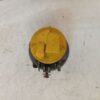 Faro Antiniebla Peugeot Citroën Fiat