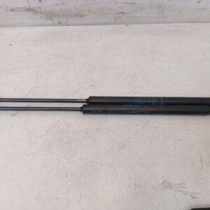 Pack 2 Amortiguadores Maletero Porton Renault Clio Grandtour 2008