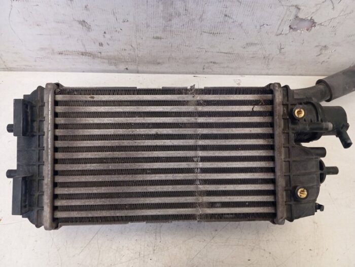 Intercooler Hyundai i20 III (BC3, BI3) 2021 hibrido 48v