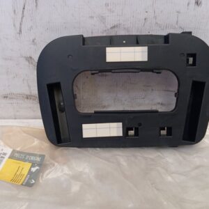 Moldura luz interior Renault Scenic III / Grand Scenic III